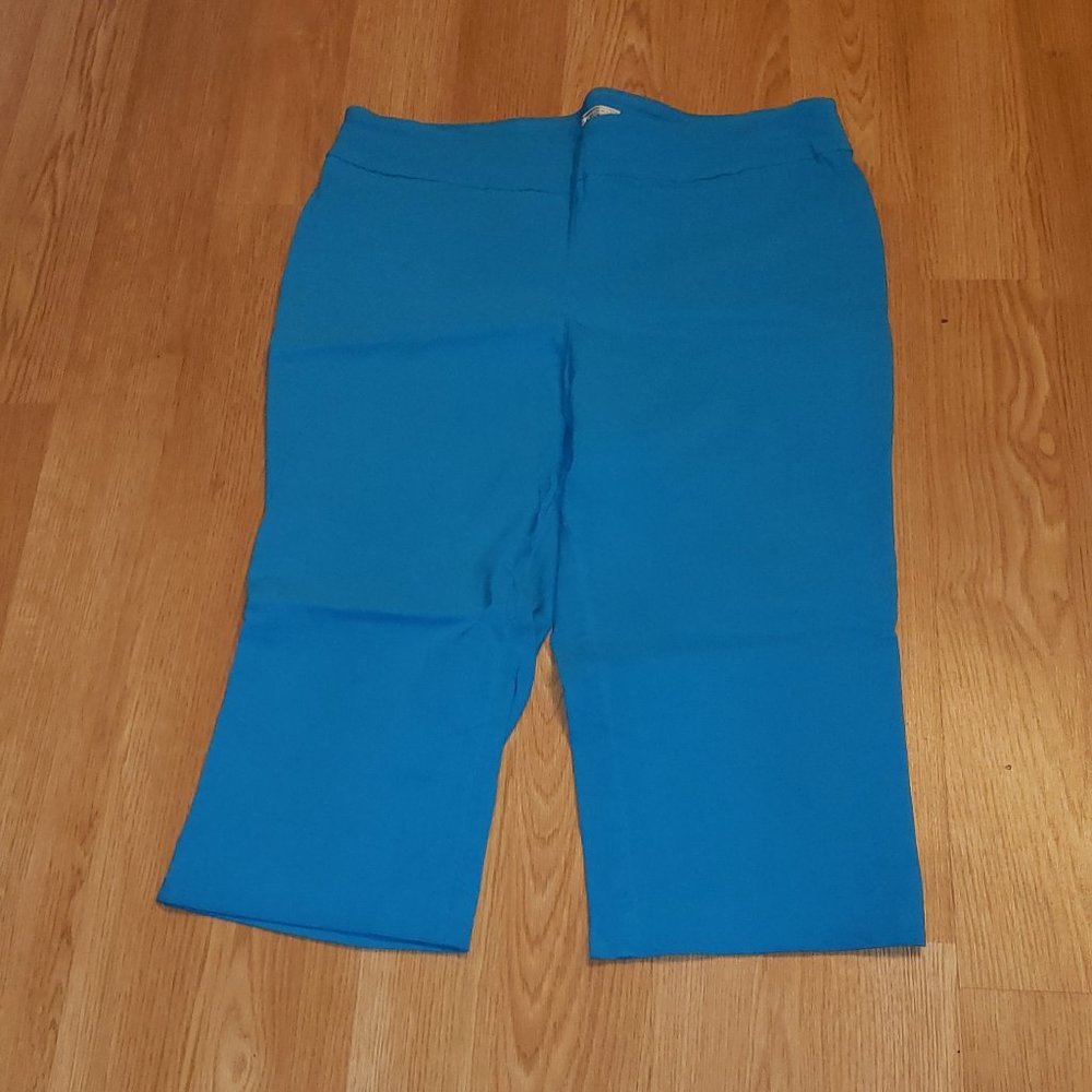 Dana Buchman Classic fit stretch Blue capri pant size large
